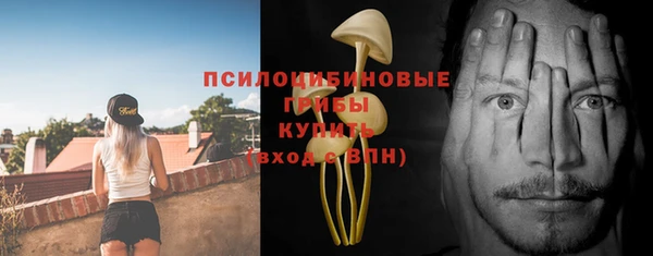 индика Абинск