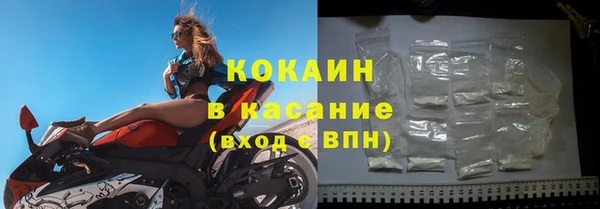 индика Абинск