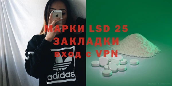 индика Абинск
