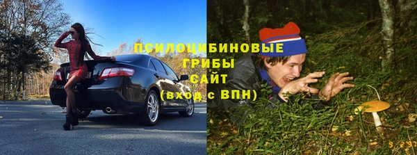 каннабис Абаза