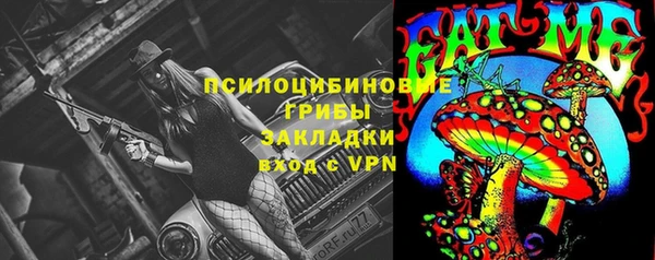 индика Абинск